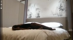 预览图4