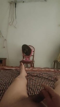 预览图11