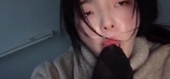预览图5