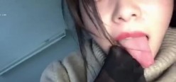 预览图14