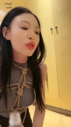 预览图12