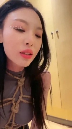 预览图13