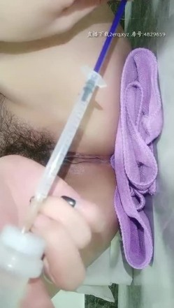 预览图8