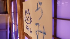 预览图9