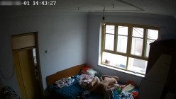 预览图2