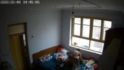 预览图6