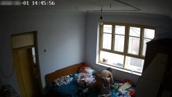 预览图8