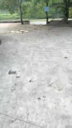 预览图7