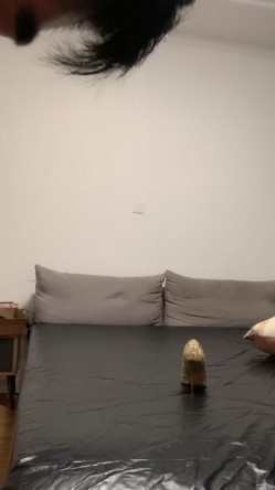 预览图2