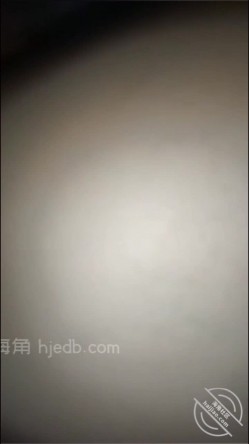 预览图5