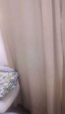 预览图4