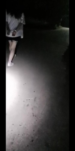 预览图4