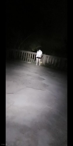 预览图7
