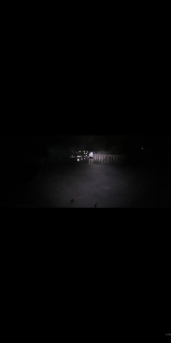 预览图11