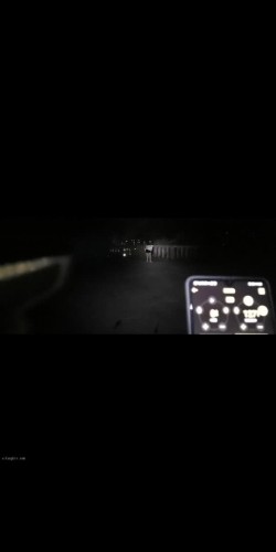 预览图12
