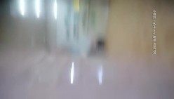 预览图6