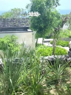 预览图15