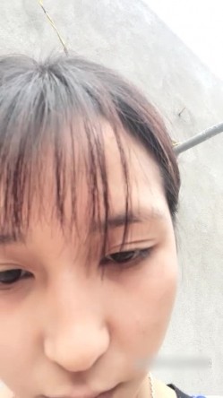 预览图16