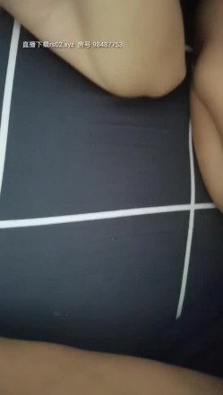 预览图5