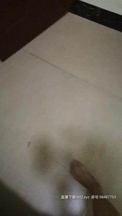 预览图9