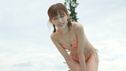 预览图9
