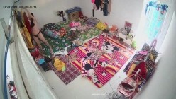 预览图2