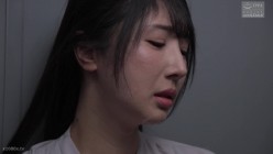 预览图4