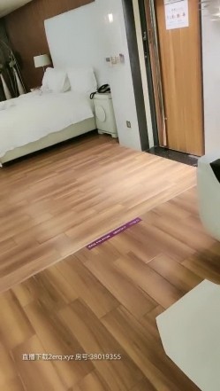 预览图1