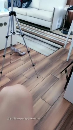 预览图13