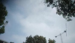 预览图4