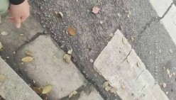 预览图14