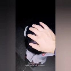 预览图15