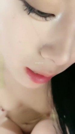 预览图4