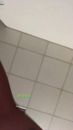 预览图8