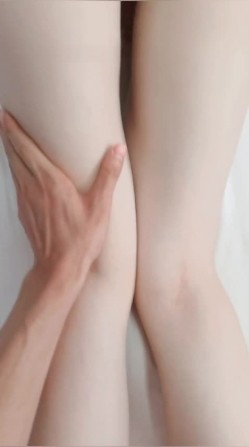 预览图5