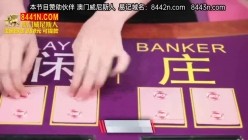 预览图8