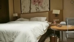预览图5