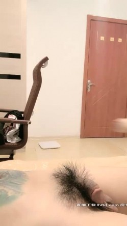 预览图1