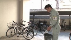 预览图2