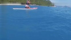 预览图16