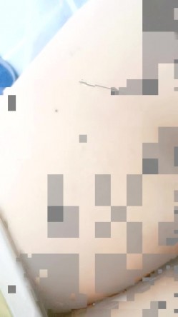 预览图7