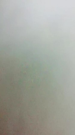 预览图10