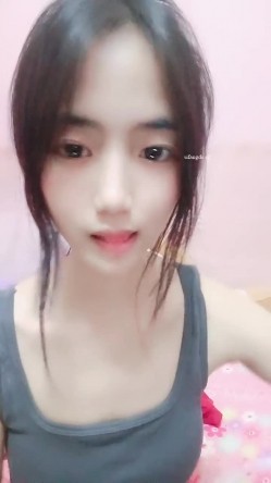 预览图13