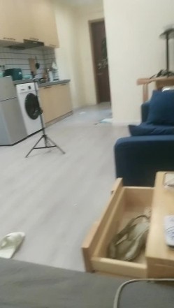 预览图13