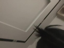 预览图13