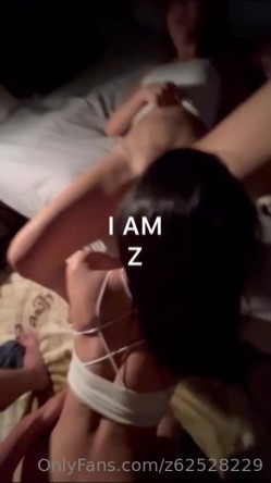 预览图4