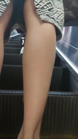 预览图8