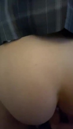 预览图4