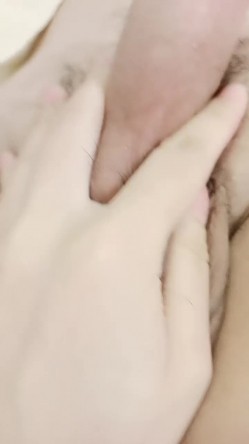 预览图4