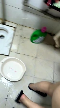 预览图4